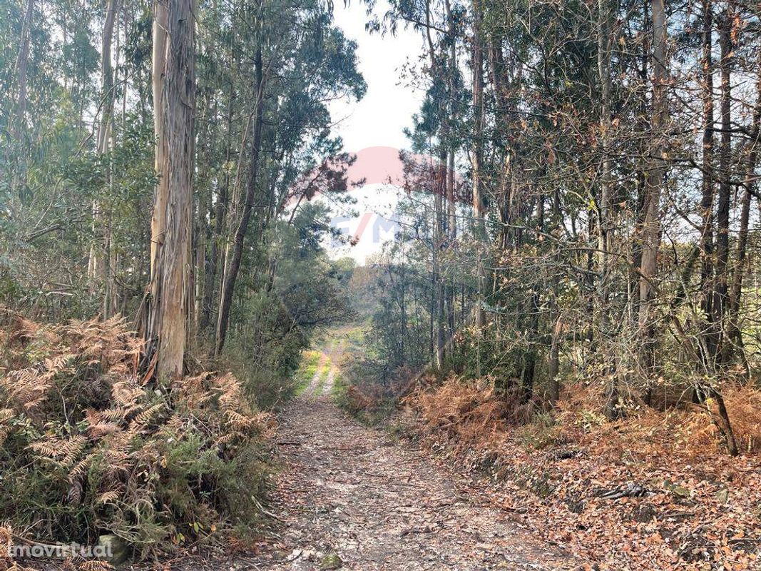 Terreno  para venda