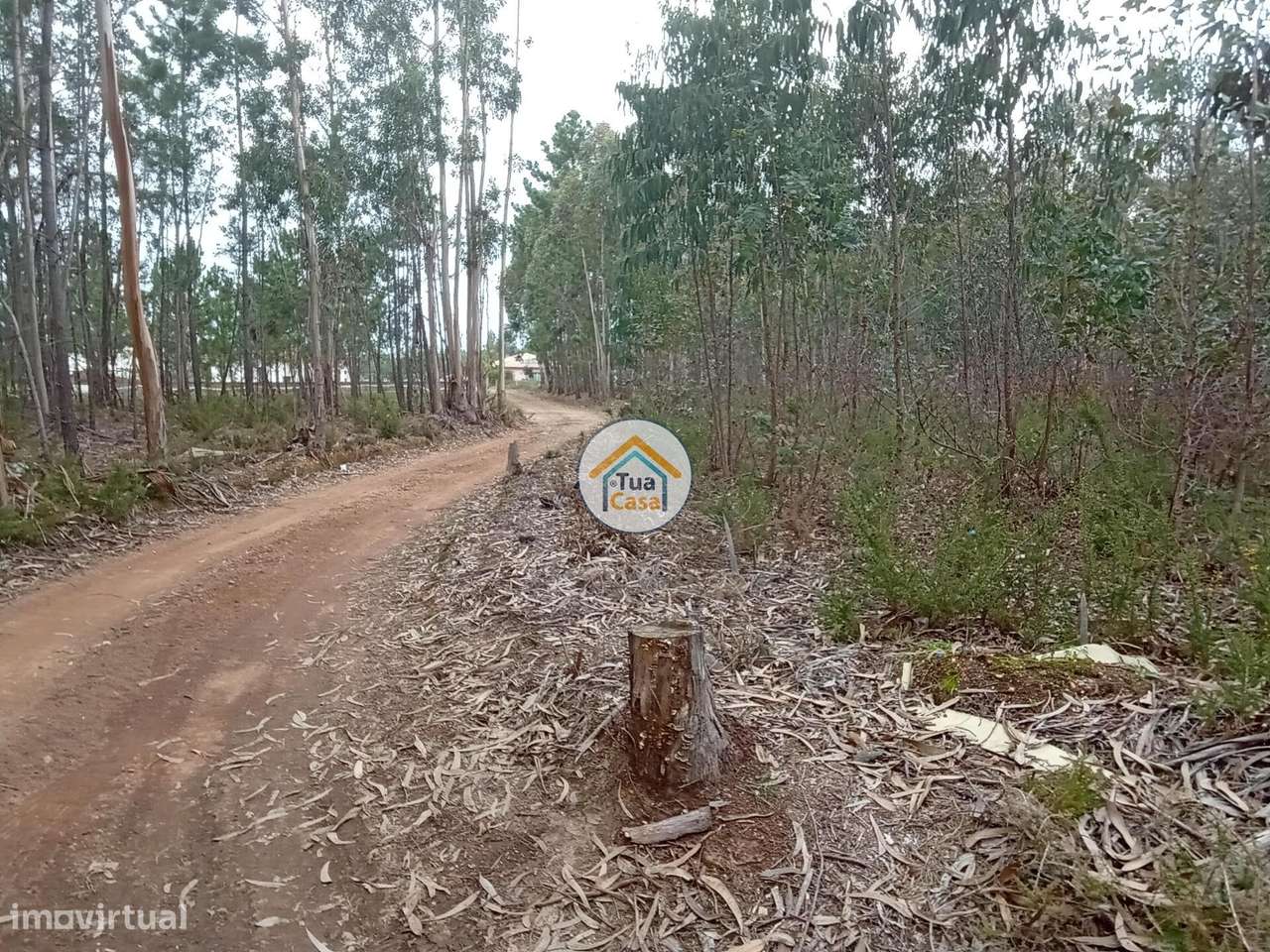 Terreno rústico com viabilidade de construção em Águeda - Grande imagem: 3/16
