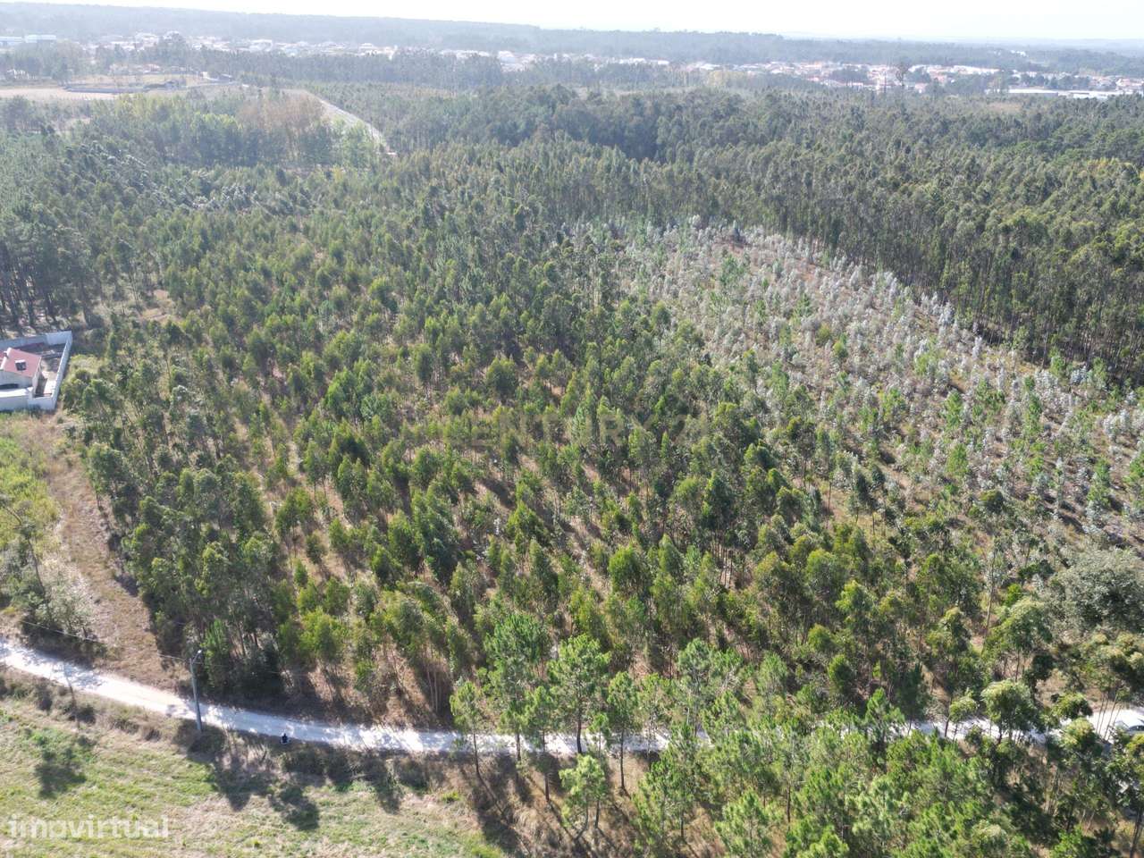 Terreno de 9.275 m² à Venda - Oportunidade de Investimento em Zona Ver - Grande imagem: 4/9