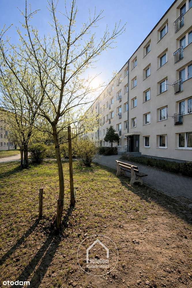 SPÓŁ. WŁASN. | kawalerka 25,8 m² | 1 piętro | widna kuchnia | piwnica-11