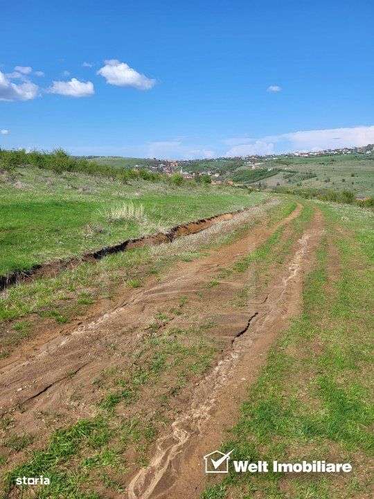 Teren extravilan 2000 mp, imprejmuit, panorama superba – Salicea (Cl - Imagine principală: 4/10