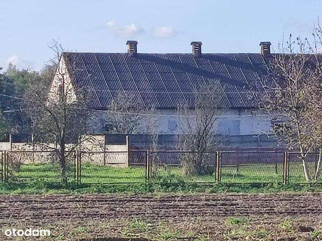 Dom z halą usługową-7