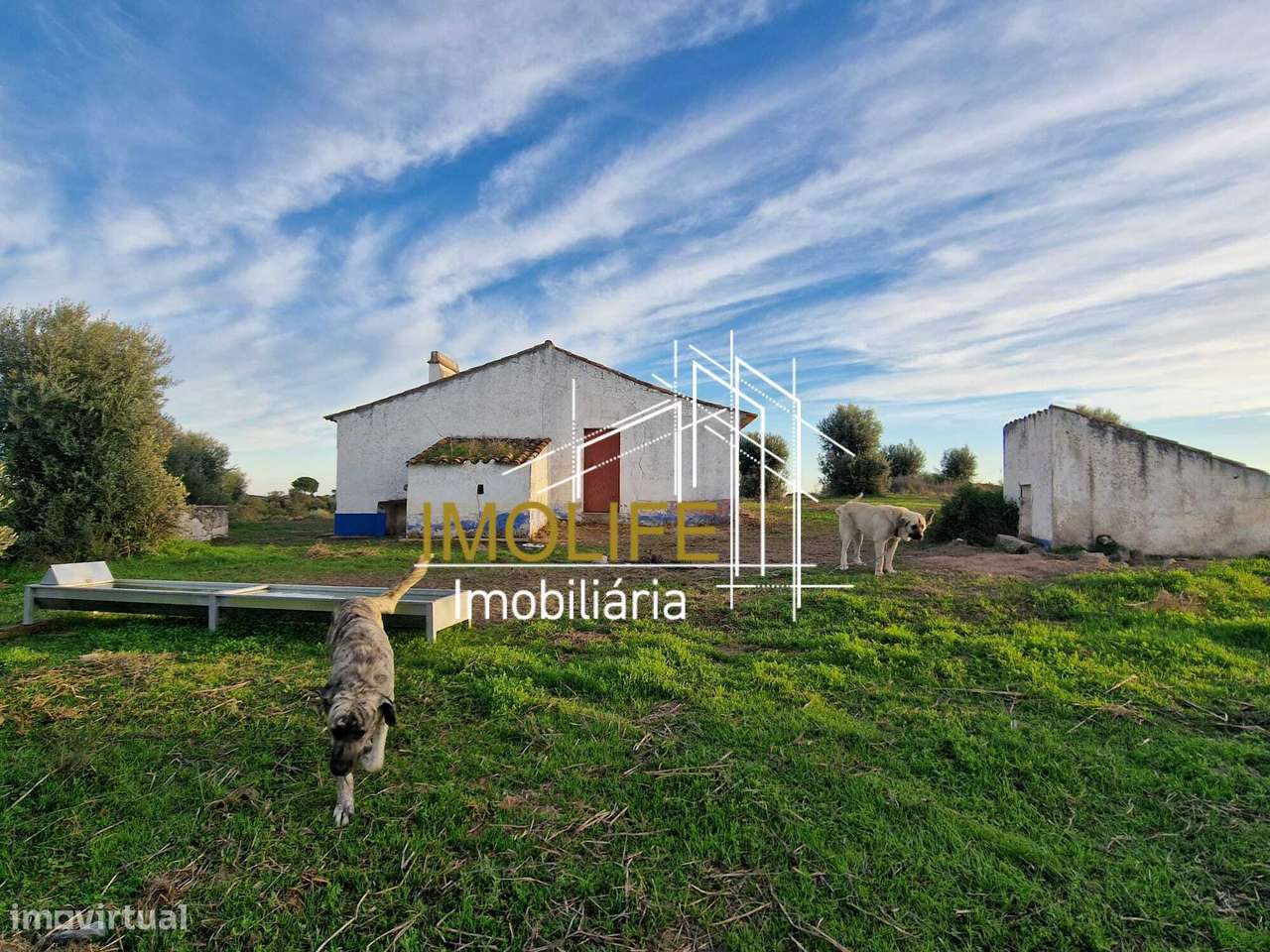 Monte Courela da Boavista - Tesas - Malarranha-12