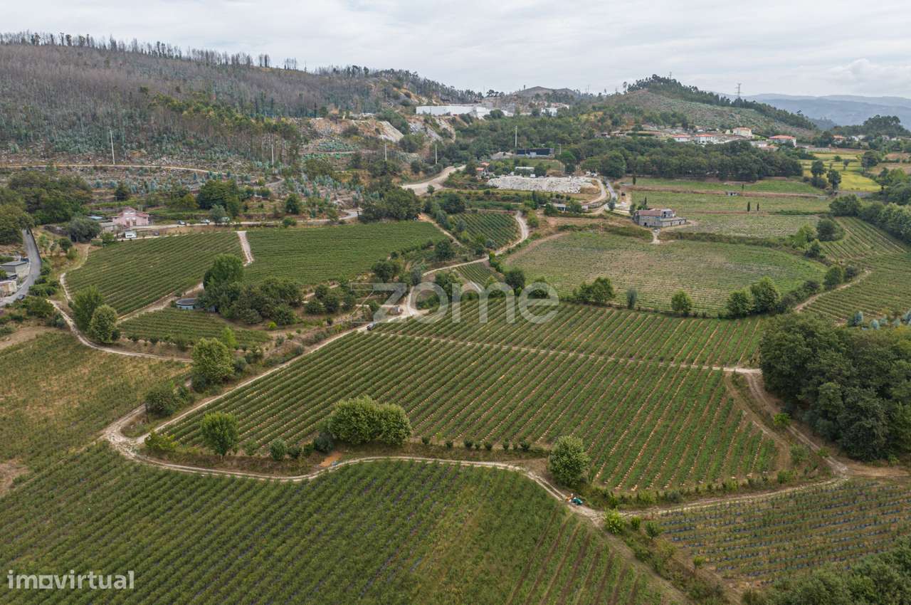 Quinta de Gonça - Grande imagem: 5/24