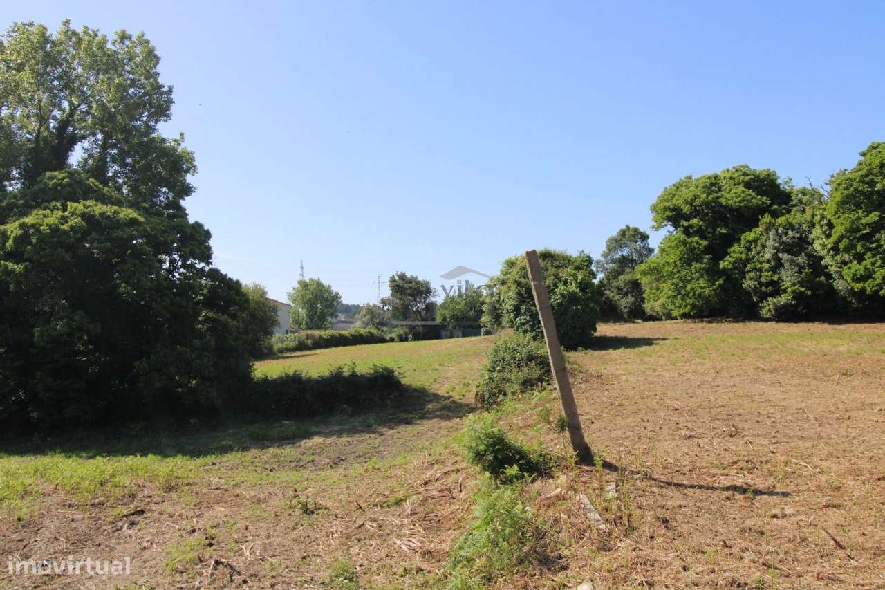 Terreno com 7.813 m² no Centro de Oliveira do Douro | Vila Nova de ...-12