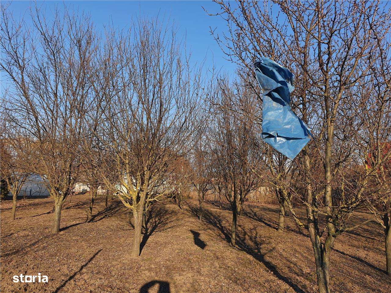 RECO Teren Santandrei 2000mp - Imagine principală: 2/8