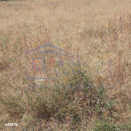 Teren intravilan, Moara, T-7396 - Imagine principală: 1/1