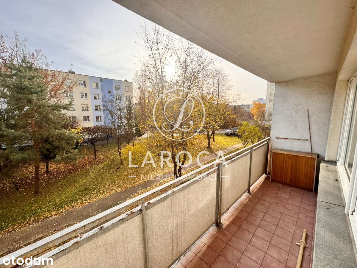 Od południa, loggia, piwnica+komórka lokatorska-8