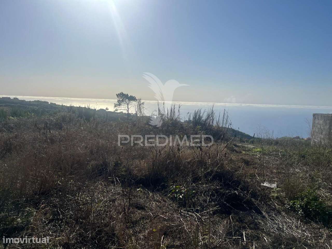 MORADIA EM RUINAS E TERRENO (1.500M2) PLANO E VISTA MAR NA  PONTA D... - Grande imagem: 4/7