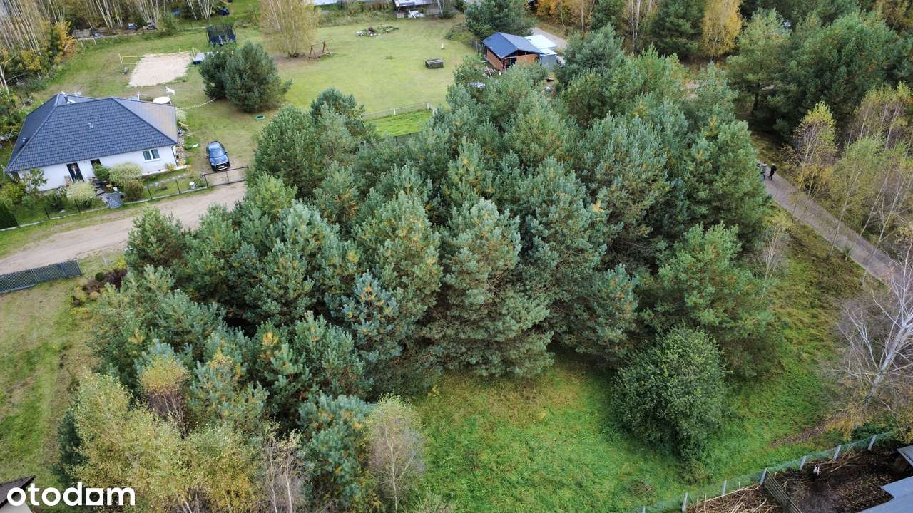 Zamieszkaj wśród zieleni! Urokliwa działka z drzewami – Czerniewo - Pełny obrazek: 5/5