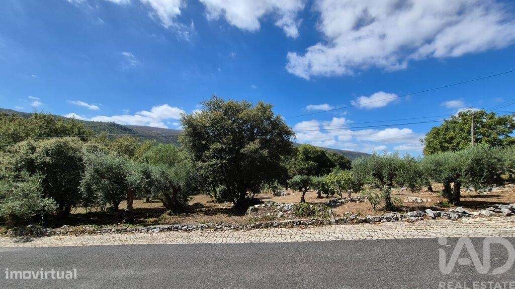 Casa / Villa T3 em Alvados e Alcaria de 440,00 m2 - Grande imagem: 5/29