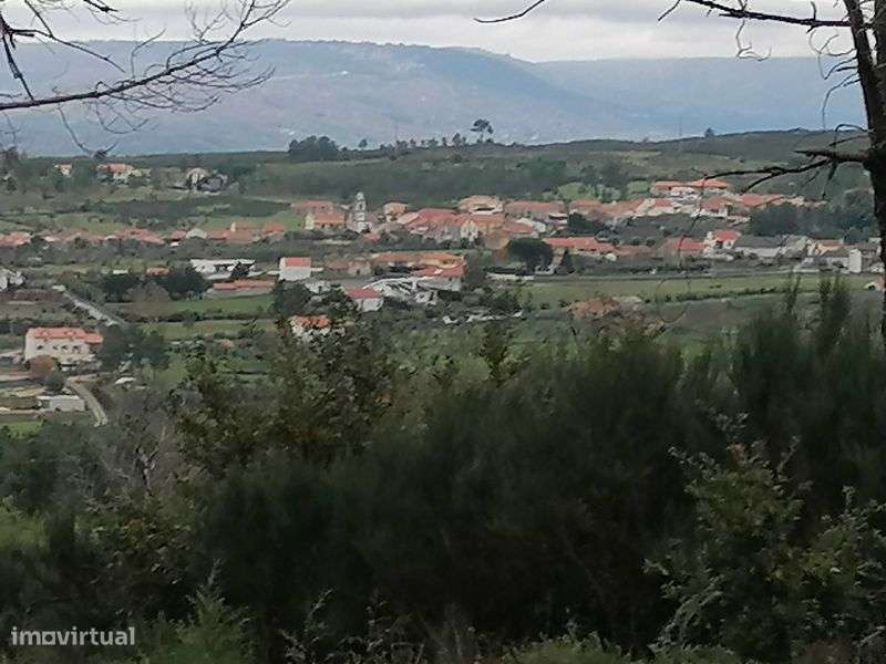 Vendo Magnifica propriedade no Parque Natural da Serra da Estrela - Grande imagem: 4/8