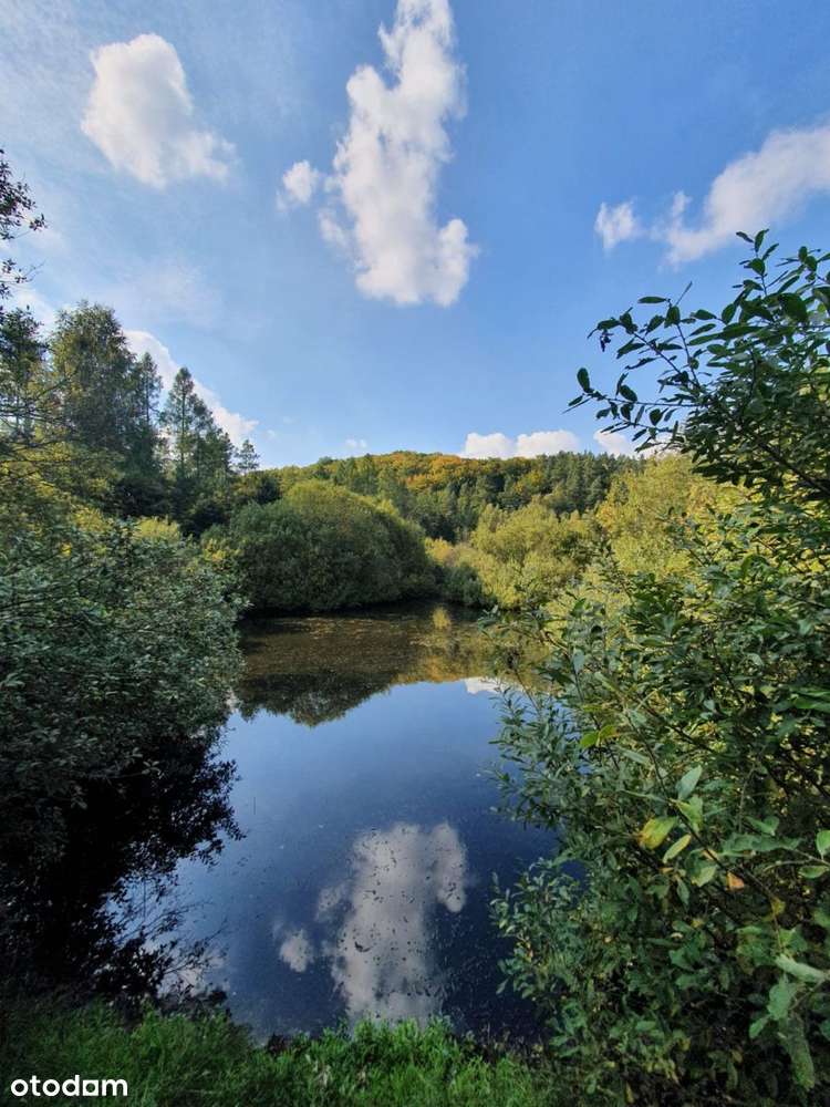 Piękna działka z "oczkiem", w sąsiedztwie zabudowa-7