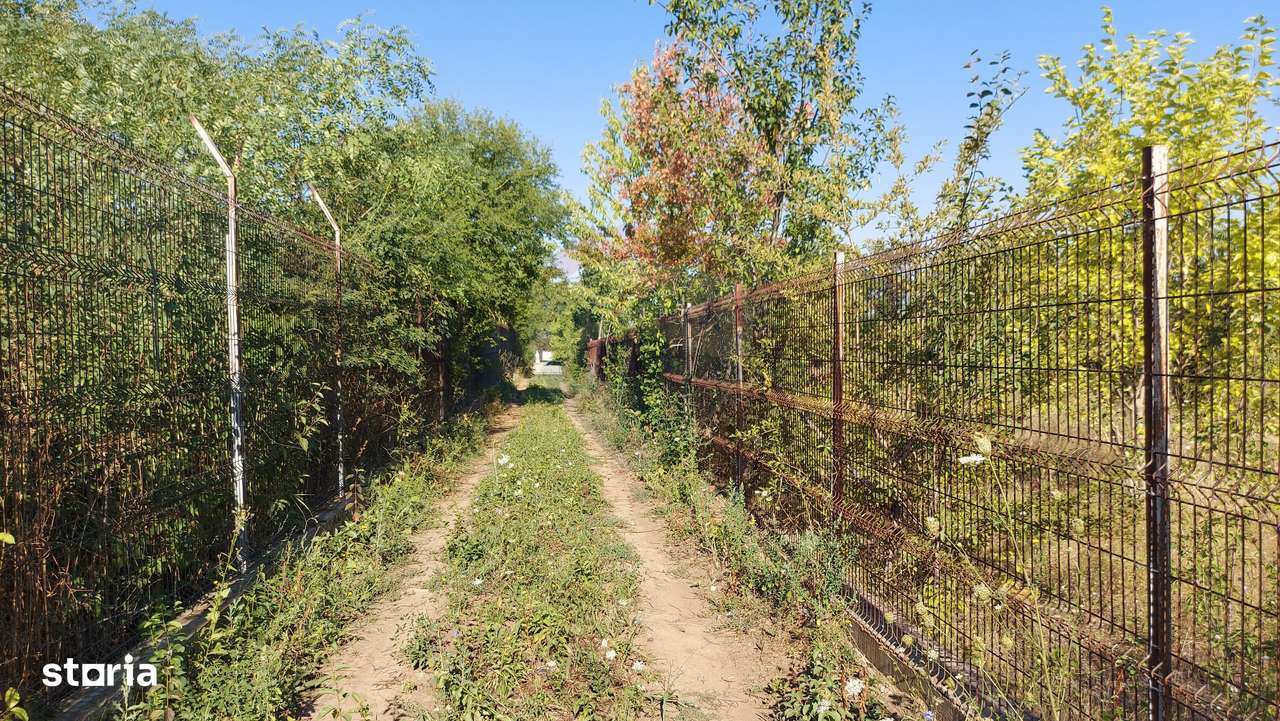 Vanzare teren Saftica strada Calea Bucuresti-5