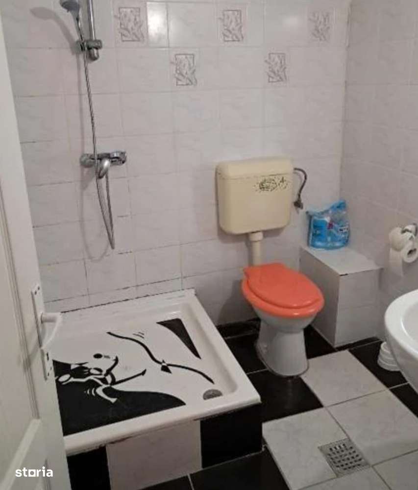 Vila individuala complet echipata  si curte generoasa-11