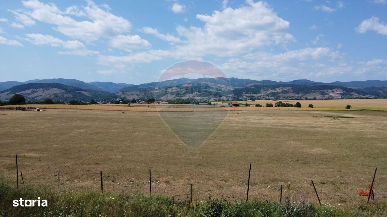 Teren industrial 10.000 mp Vințu de Jos investitie-1