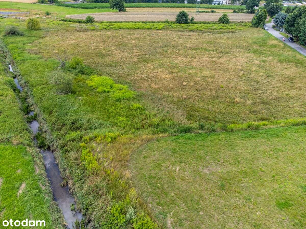 Sprzedam Duży Teren Rolny 1,5ha Żory Baranowice-7