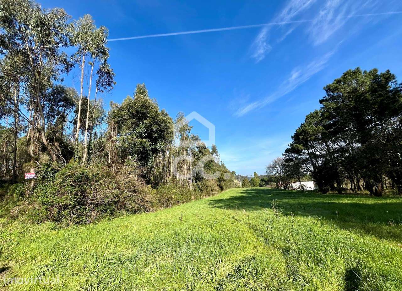 Terreno Misto, Fanadia - Grande imagem: 5/18