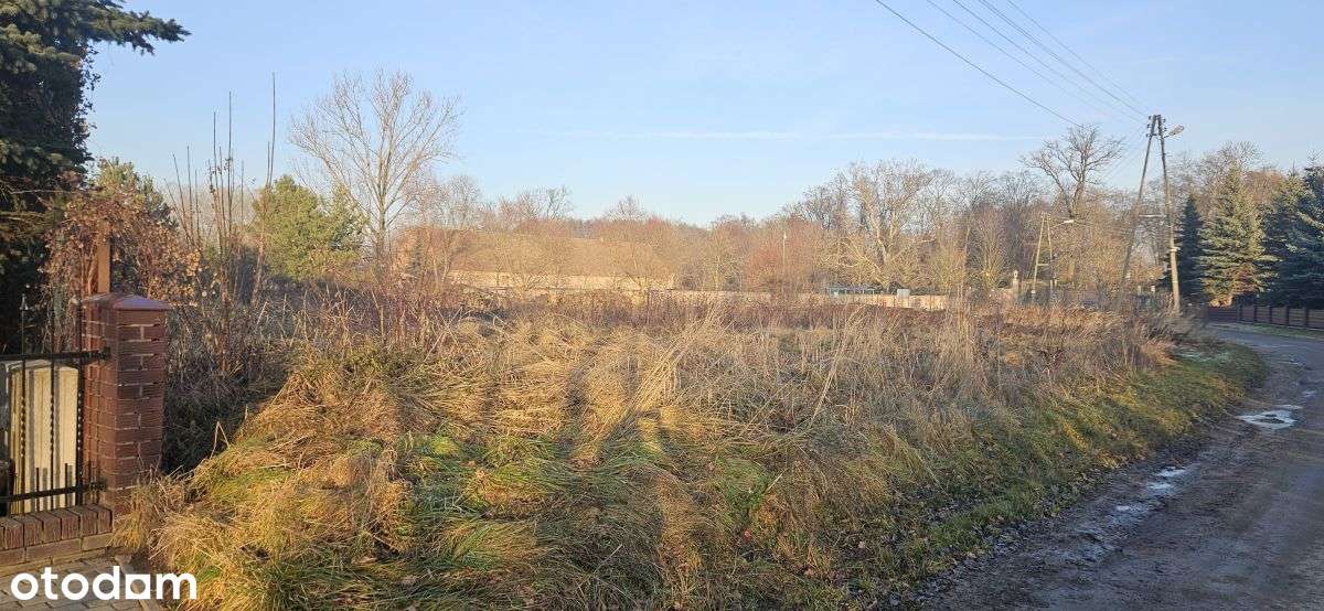 Chróstnik, gm. Lubin, powiat lubiński-3