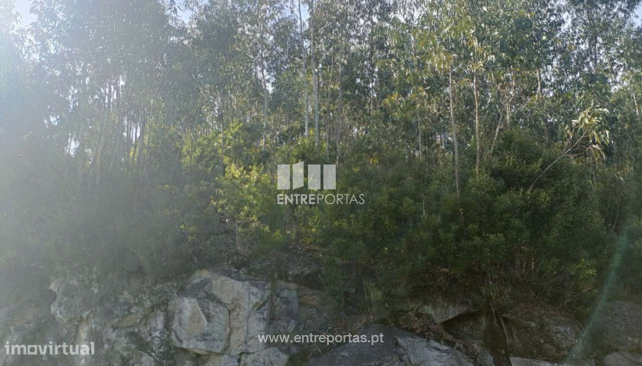 Venda Terreno  Vila Cova Penafiel - Grande imagem: 5/16
