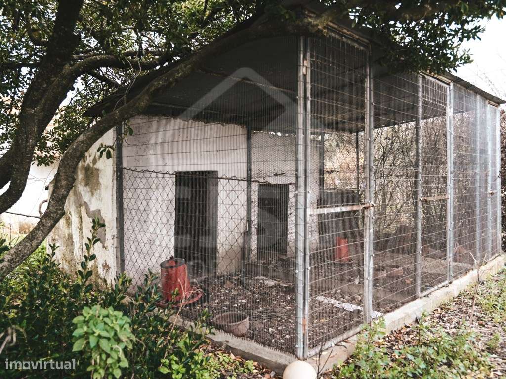 Quinta T4 nos Foros da Branca-30