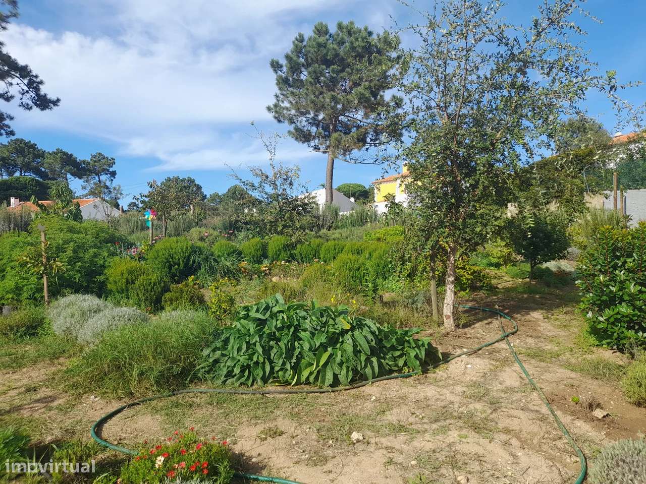 Colares, Mucifal -Terreno 2128m2 com projeto aprovado - Grande imagem: 5/30