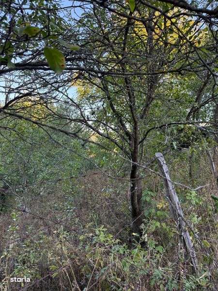 Vand casa 70mp Racoasa, inclusiv teren 2200mp, judetul Vrancea - Imagine principală: 4/7