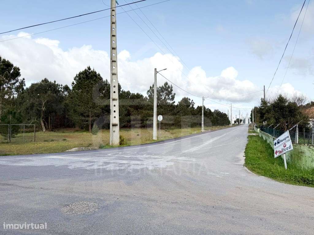 Oportunidade - 5 ha | Zona Industrial Salvaterra de Magos-5