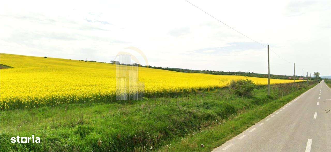 Teren agricol 64 ha comasat| Deschidere 800 m la drum comunal | Utilit - Imagine principală: 1/3