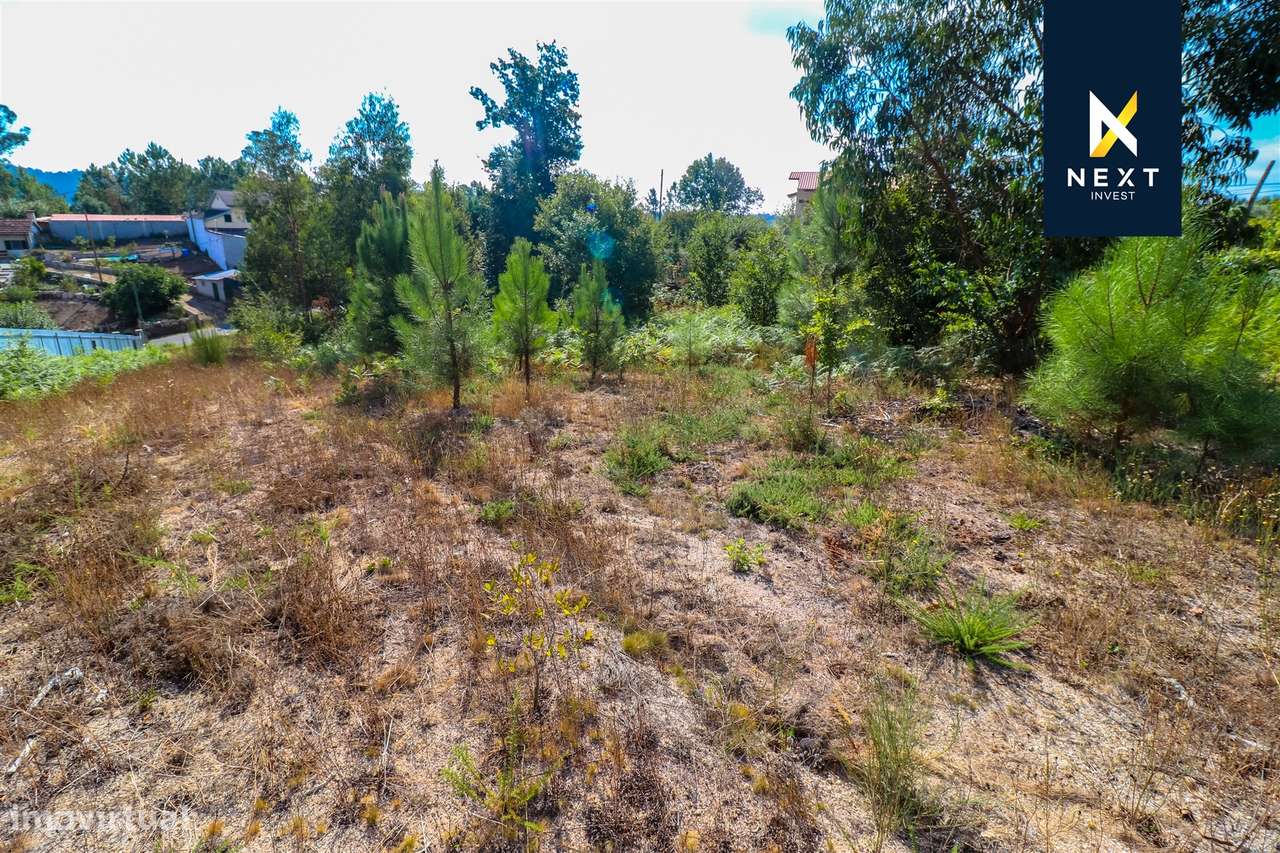 Terreno para construção a 10 minutos de Viseu - Grande imagem: 3/8