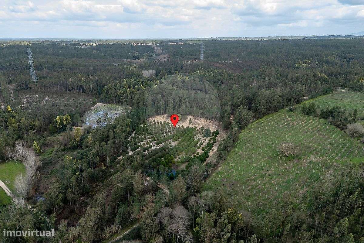 Terreno  para venda - Grande imagem: 5/13