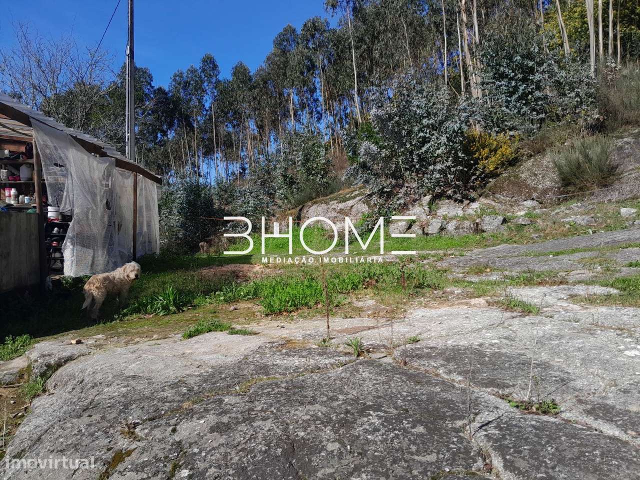 Quinta c/ 18.000m2, Casa Recuperada, c/ Moinhos, localizada em Ribeiro - Grande imagem: 5/35