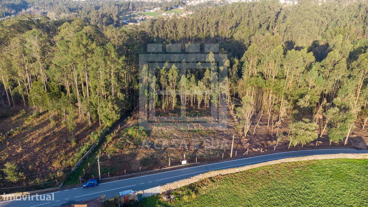 Terreno para construção com 1.826 m2 em São Miguel de Souto, SMF - Grande imagem: 2/12