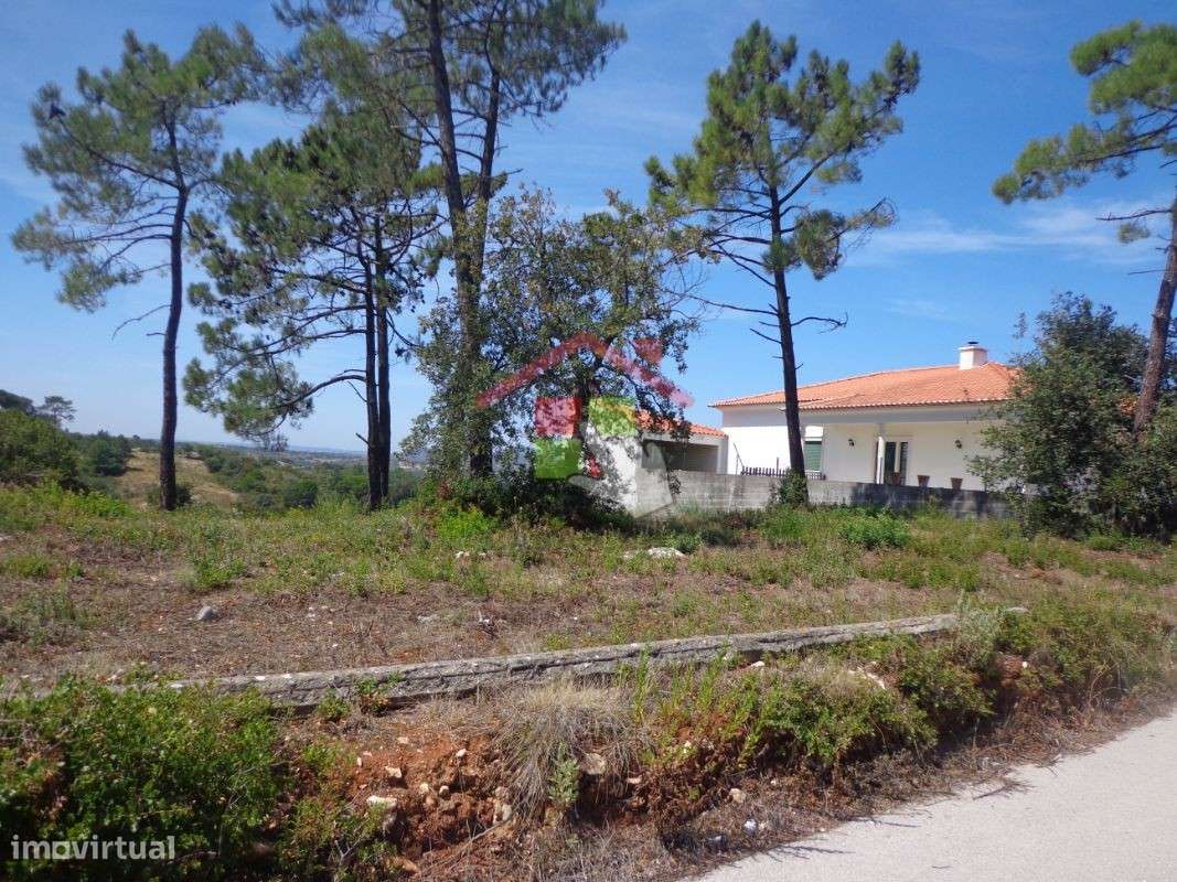 Terreno Rústico T0 Venda em Chancelaria,Torres Novas-3