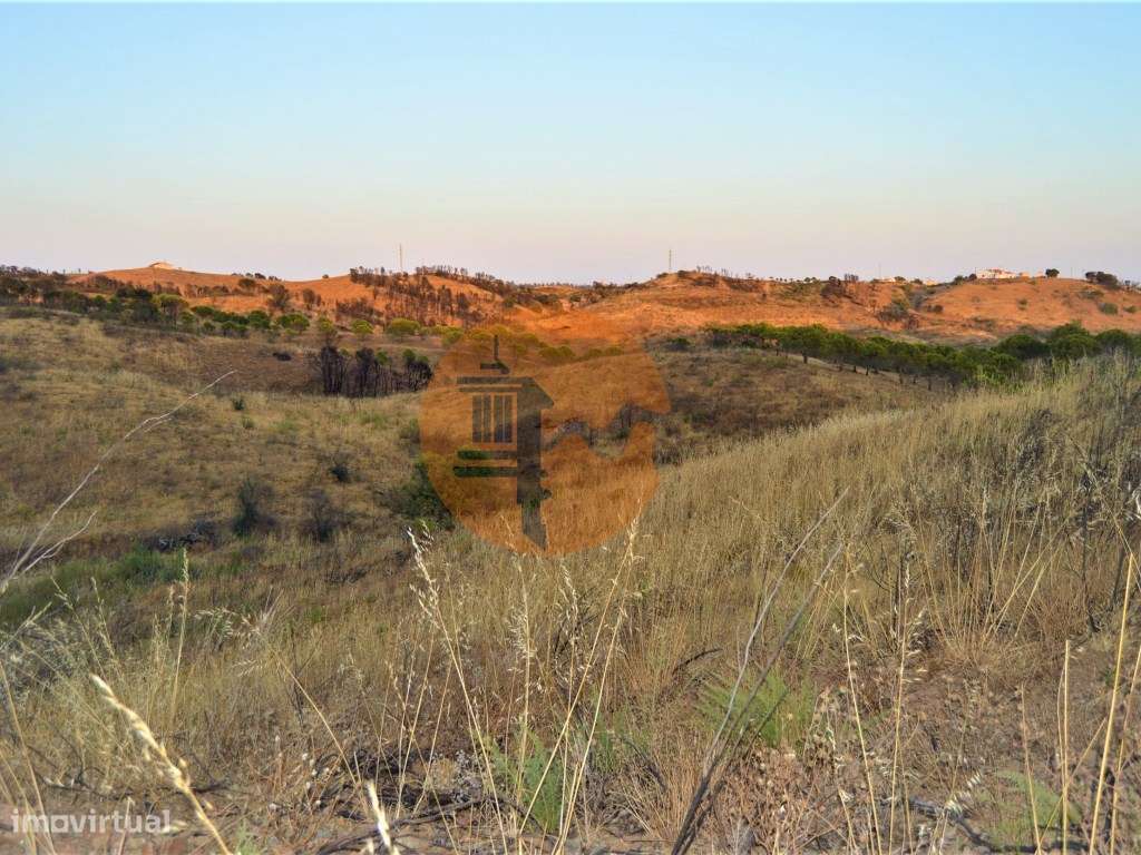 Terreno Rústico com 2,3ha em Vale das Eiras - Grande imagem: 4/8