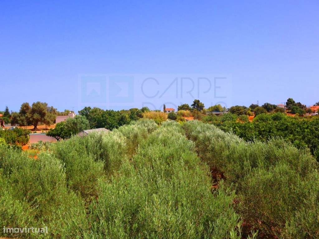 Quinta T4, em Luz de Tavira-52