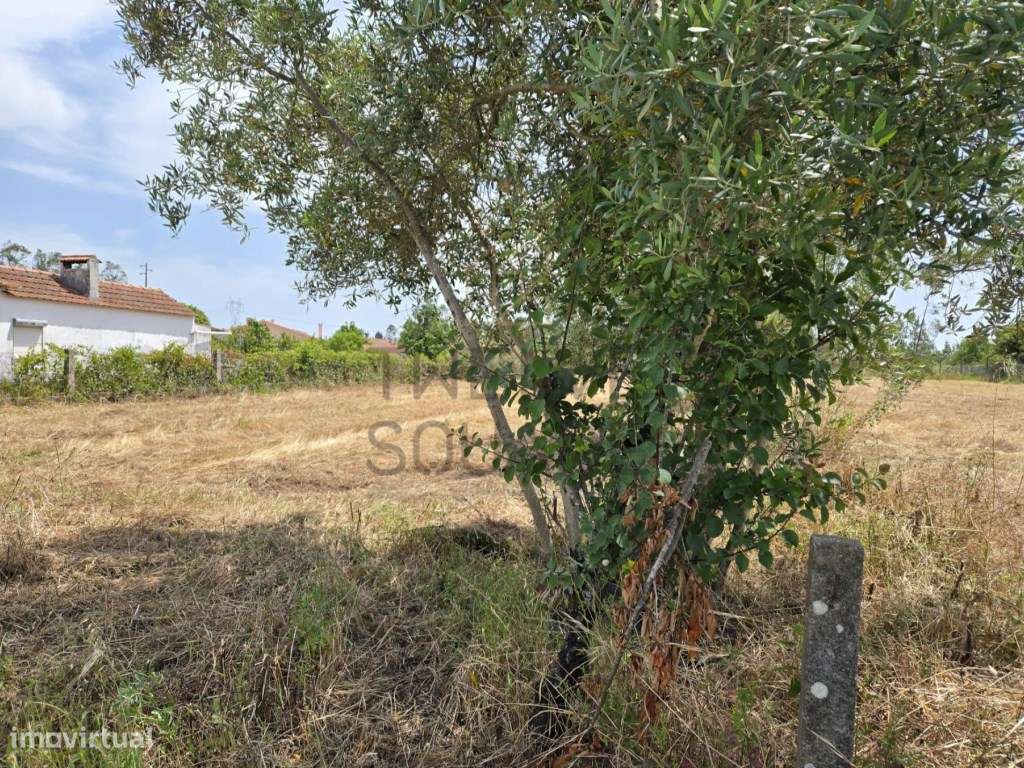 Terreno com Projeto para Edifício de 3 frações - Guia, Pombal-11