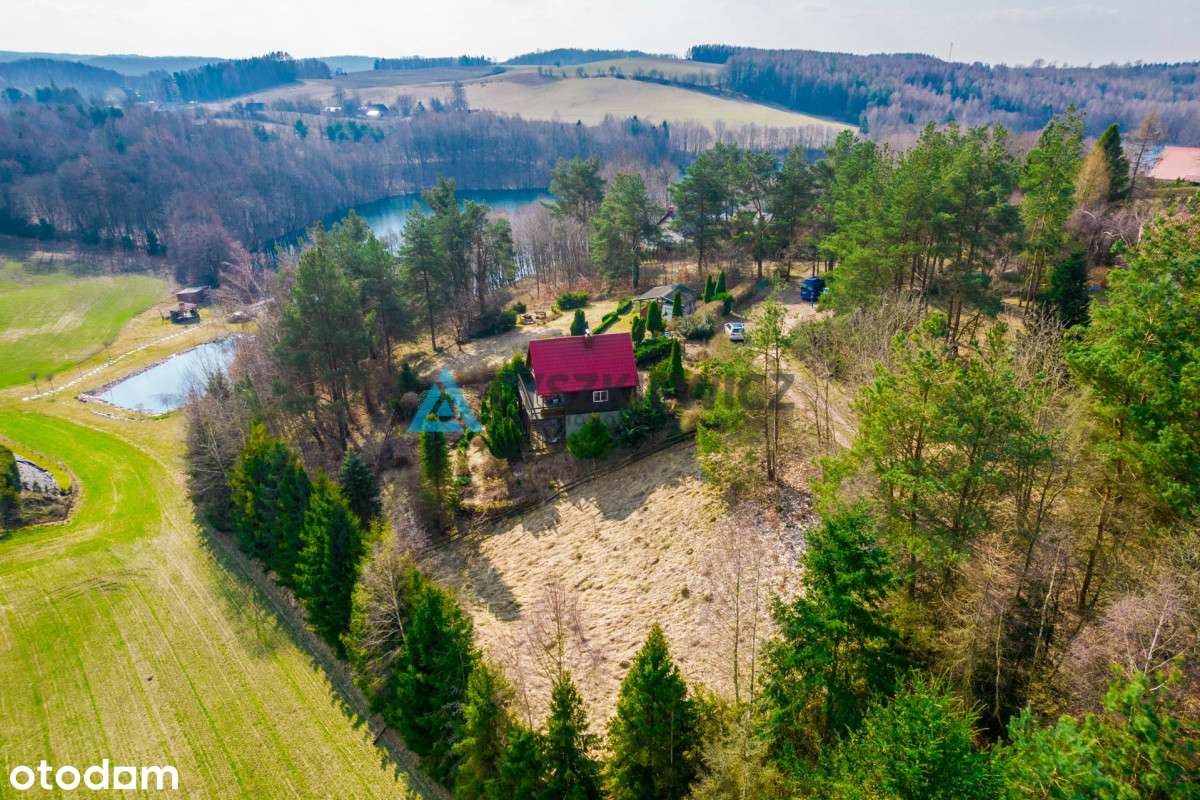 Działka rekreacyjna na Kaszubach wśród jezior - Pełny obrazek: 5/19