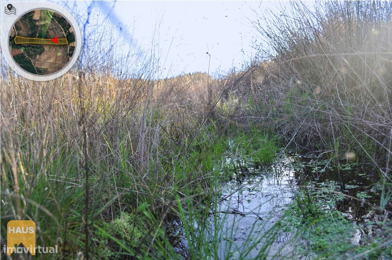 Terreno com 11.880 m² à venda em Castelo Branco. - Grande imagem: 4/26