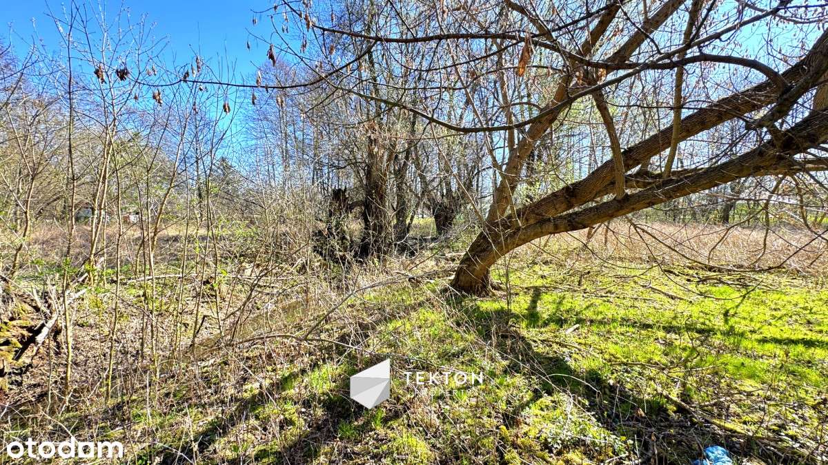 Działka 1 800 m2 | WZ | Woda Prąd Gaz - Pełny obrazek: 4/7