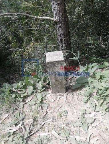 Terreno rústico - 258.814 m2 - Alenquer, Lisboa - Grande imagem: 3/6