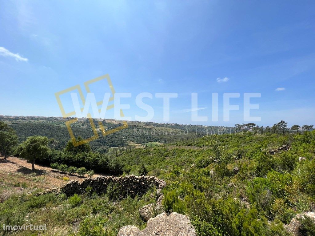 Terreno Rústico de 37437m2 em Lombas - Montesouros - Mafra