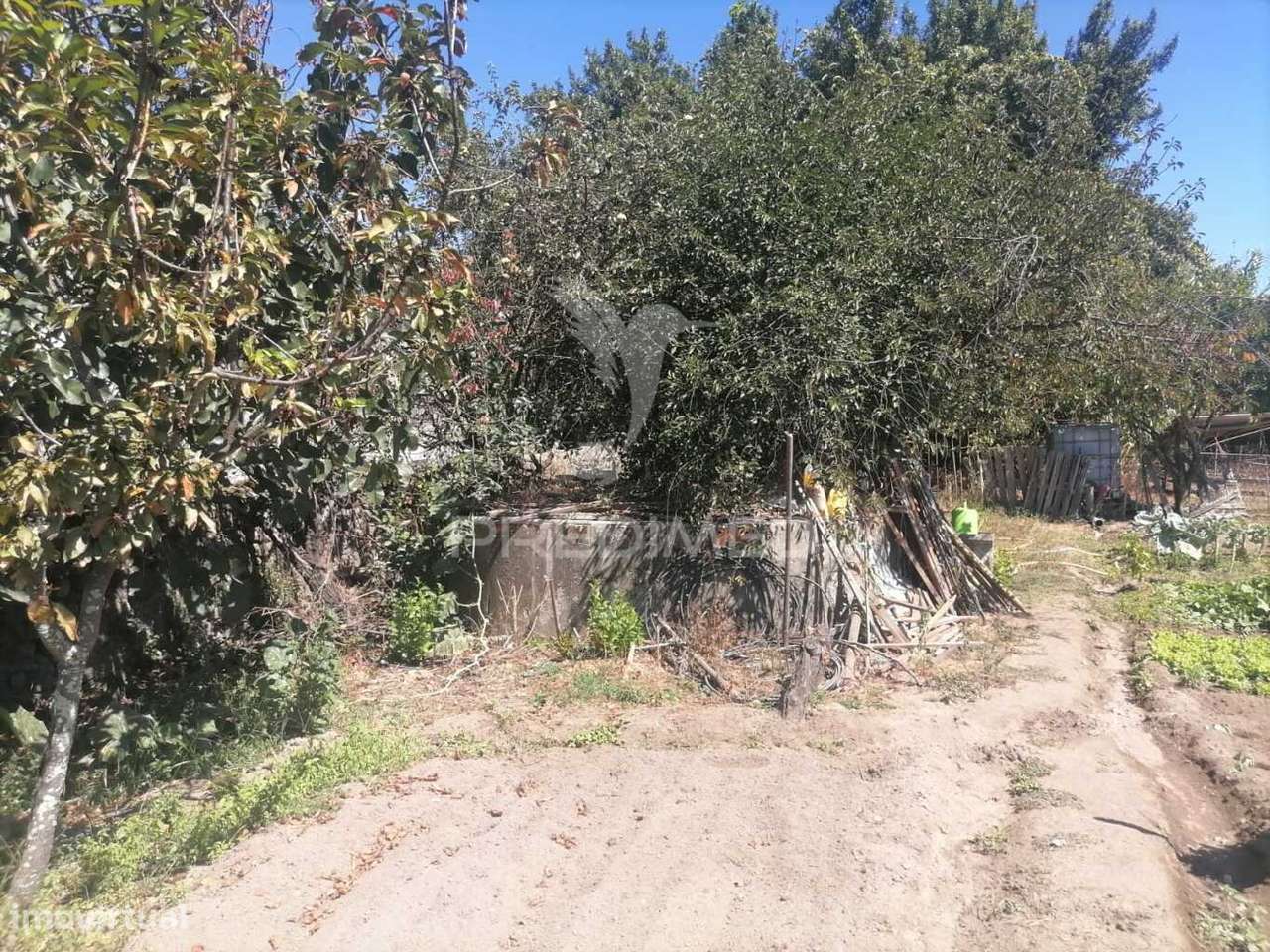 Terreno - Grande imagem: 4/6