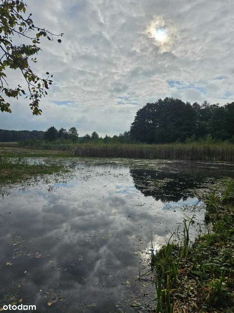 Unikatowa działka na sprzedaż - Pełny obrazek: 4/7