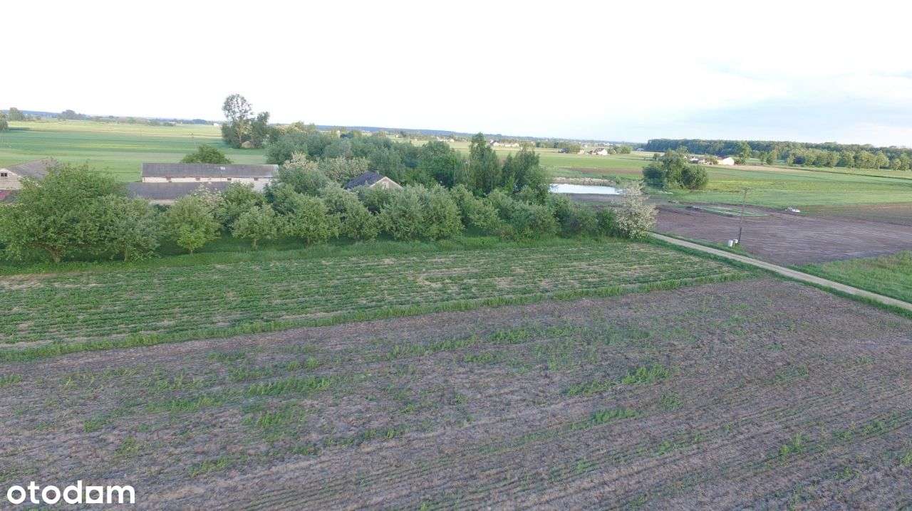 Działka budowlana Januszewo 1200m2-7