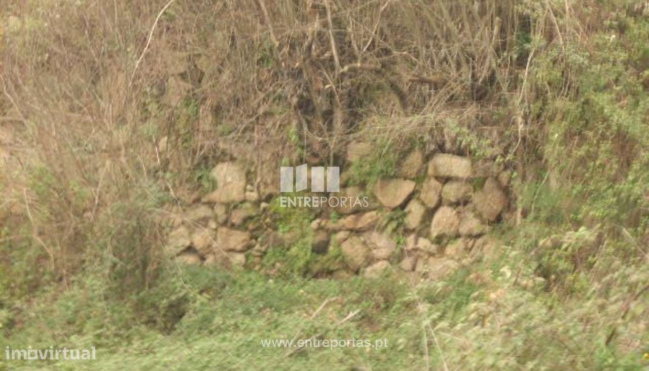 Venda Terreno, Várzea de Ovelha e Aliviada, Marco de Canavese - Grande imagem: 5/13