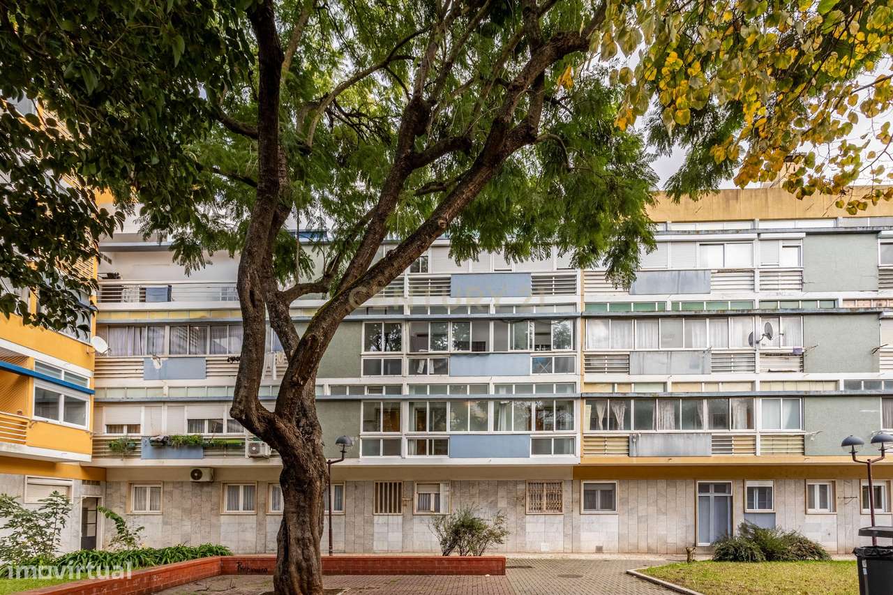 Apartamento T1  com 57m2, remodelado -  Portas de Benfica - Grande imagem: 5/31