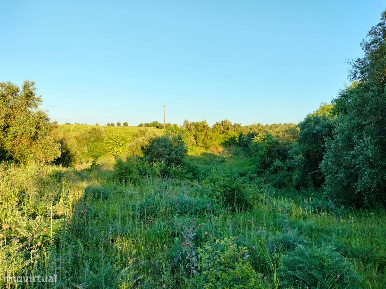 Terreno Rústico Alcanhões - Grande imagem: 4/7
