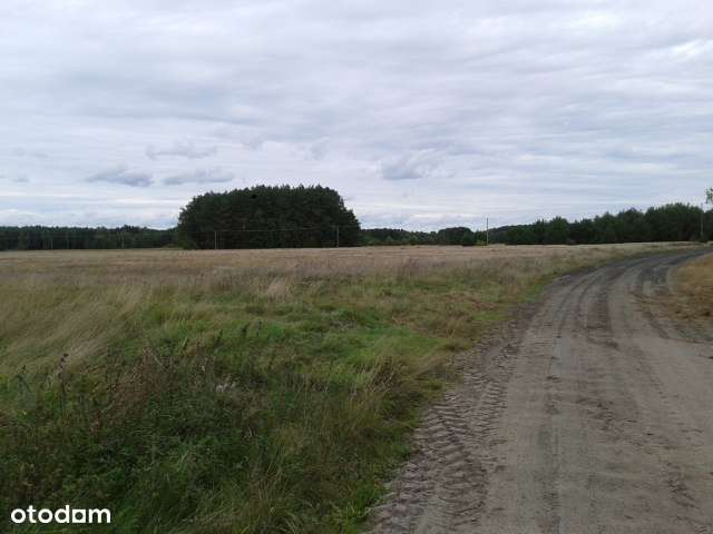 60kmodPoz.4 ha,las,jezioro,dom,agroturyst,konie,hotel,dwlpr,farmenergi - Pełny obrazek: 4/6