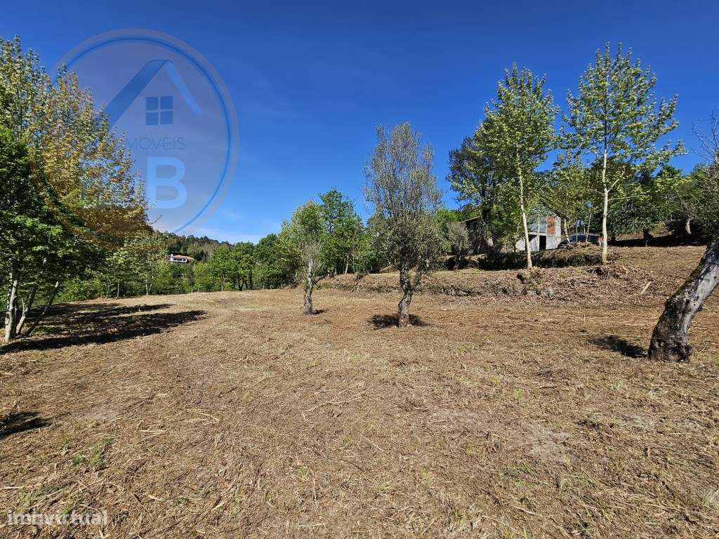 Quinta junto ao rio e área de lazer de Santa Senhorinha de Basto, C...-17